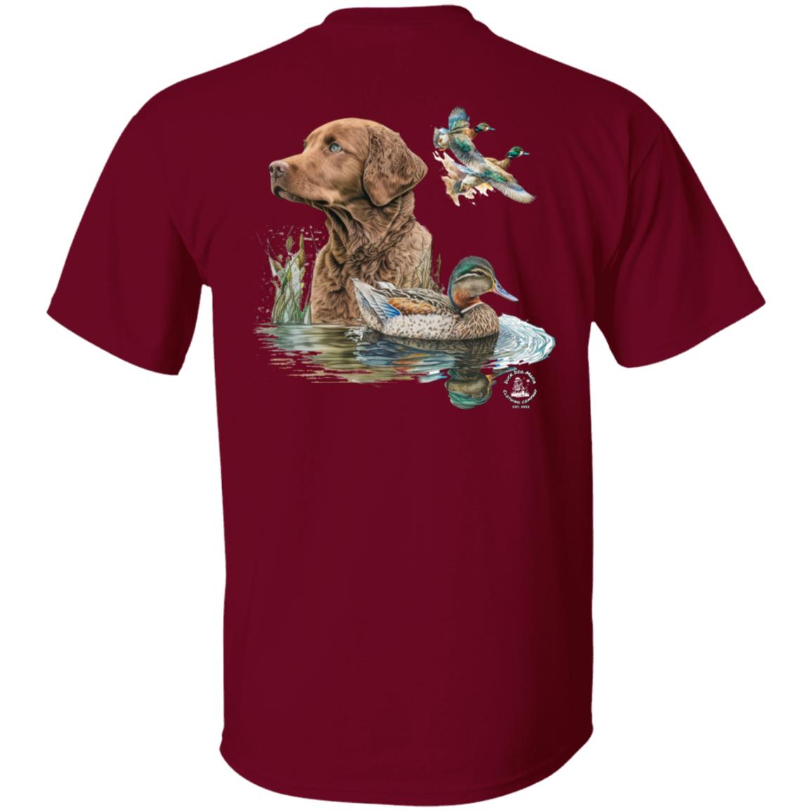 Chesapeake Bay Retriever and the Ducks