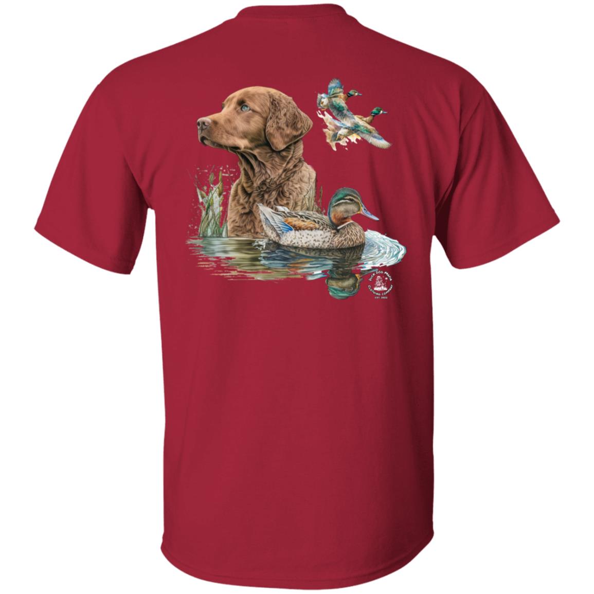 Chesapeake Bay Retriever and the Ducks