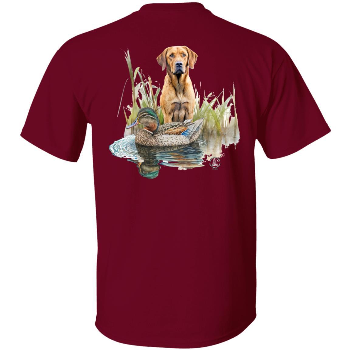 Chesapeake Bay Retriever In The Marsh