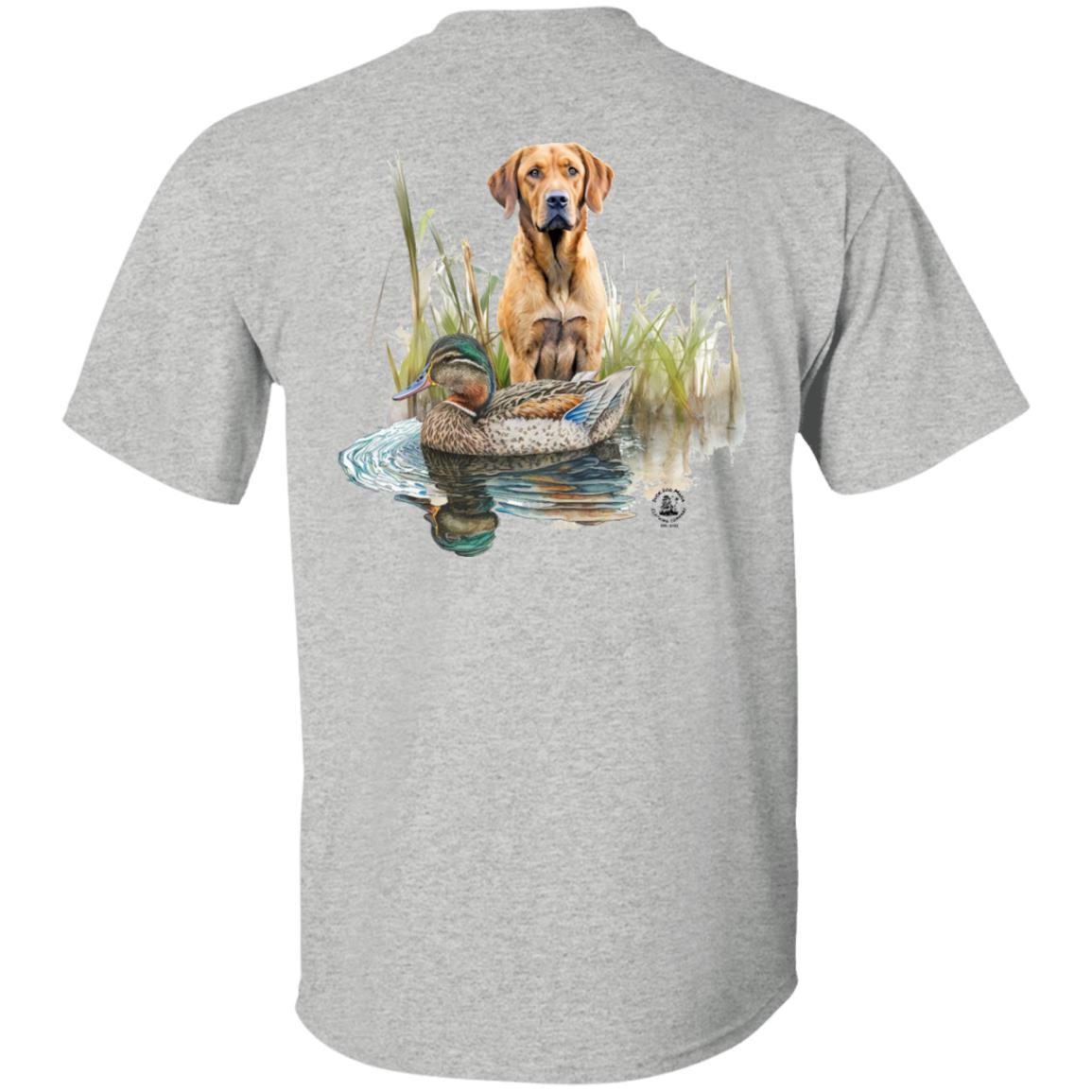 Chesapeake Bay Retriever In The Marsh