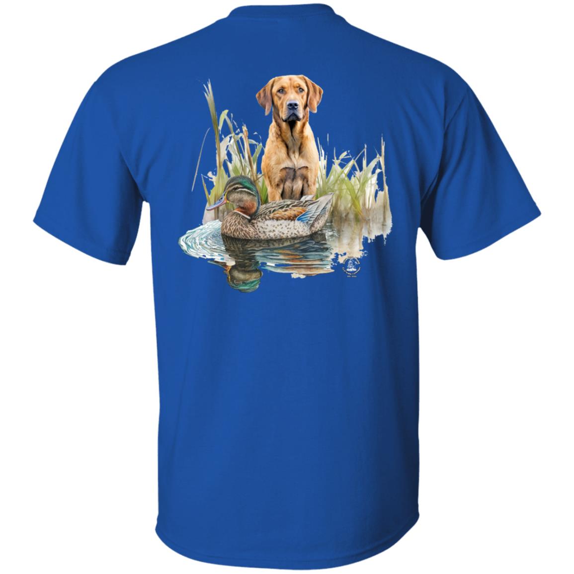 Chesapeake Bay Retriever In The Marsh