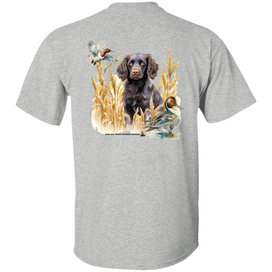 Boykin Spaniel and the Wheat Field