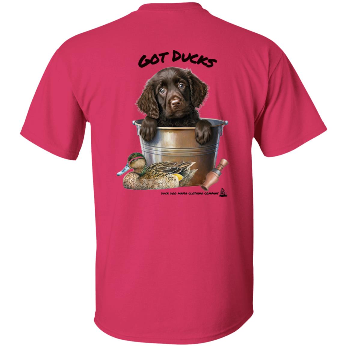 Boykin Spaniel Puppy Got Ducks