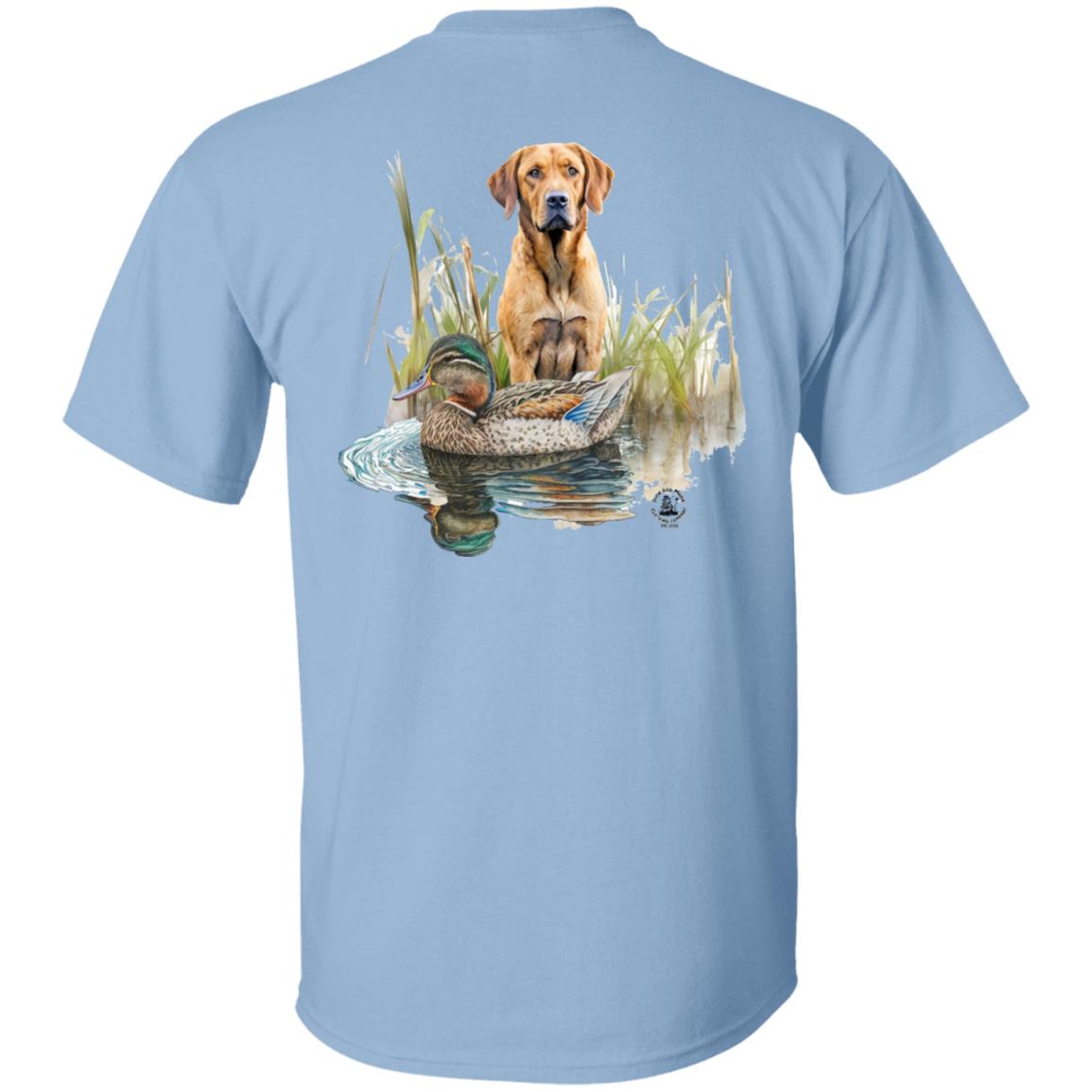 Chesapeake Bay Retriever In The Marsh