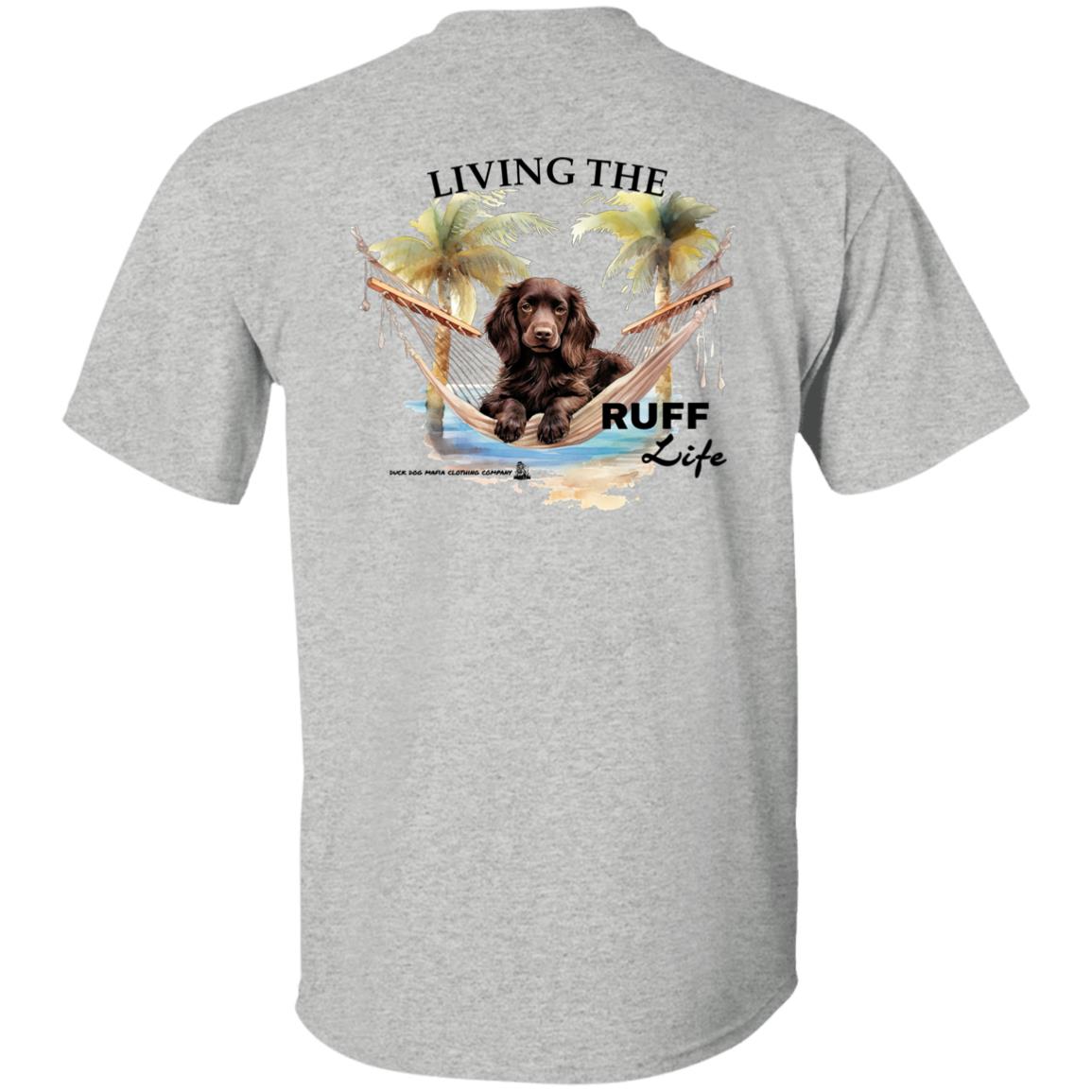 Boykin Spaniel Living The Ruff Life