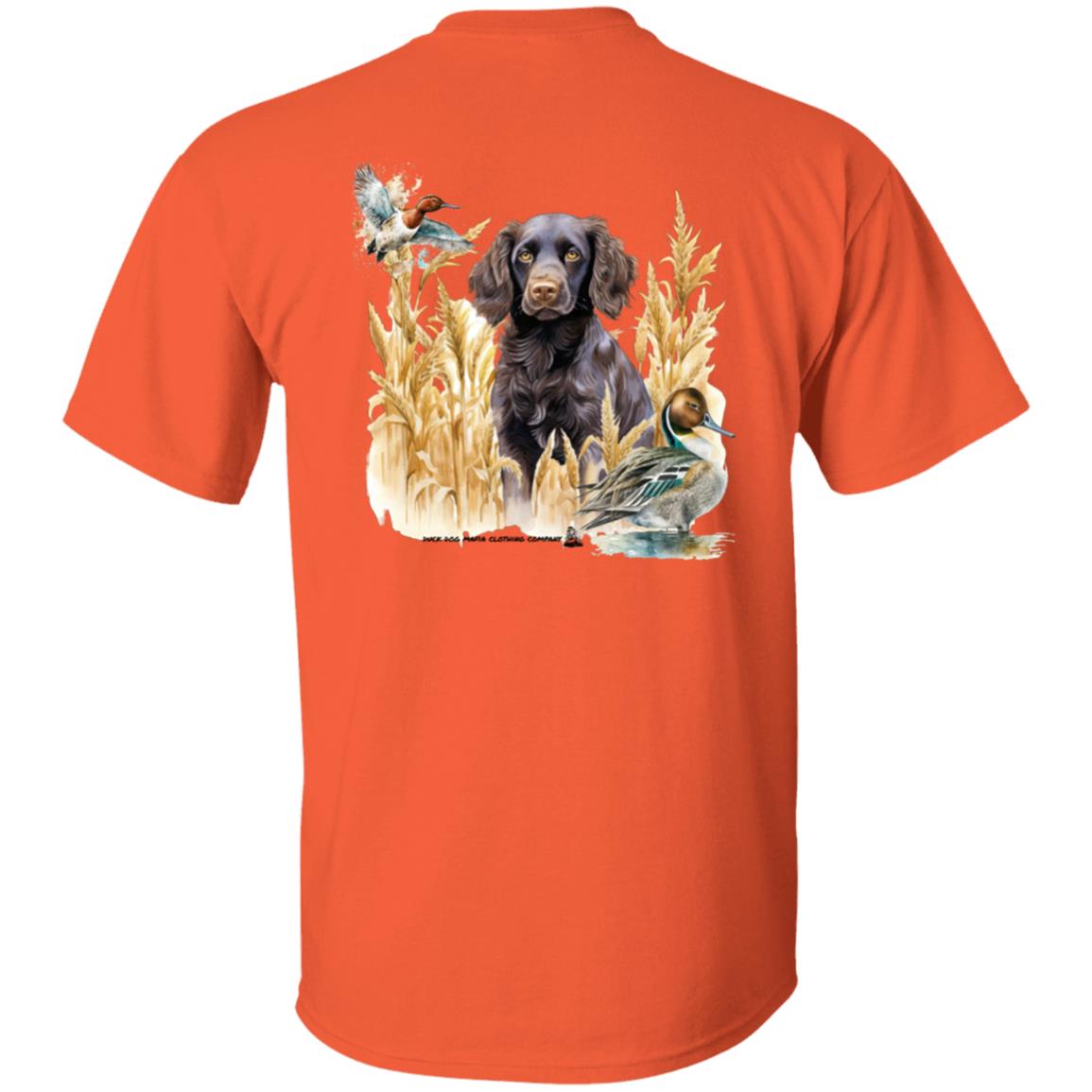 Boykin Spaniel and the Wheat Field