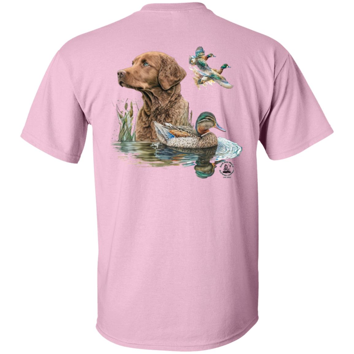 Chesapeake Bay Retriever and the Ducks