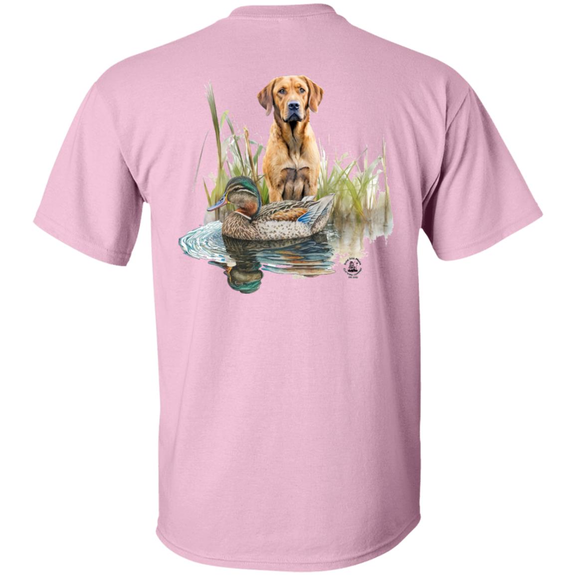 Chesapeake Bay Retriever In The Marsh