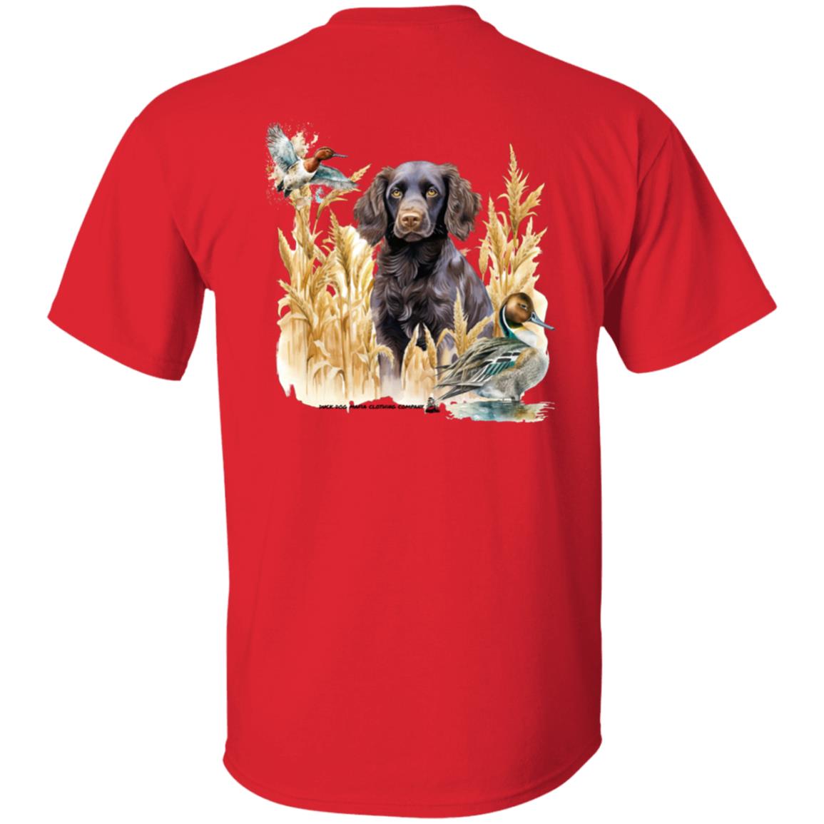 Boykin Spaniel and the Wheat Field