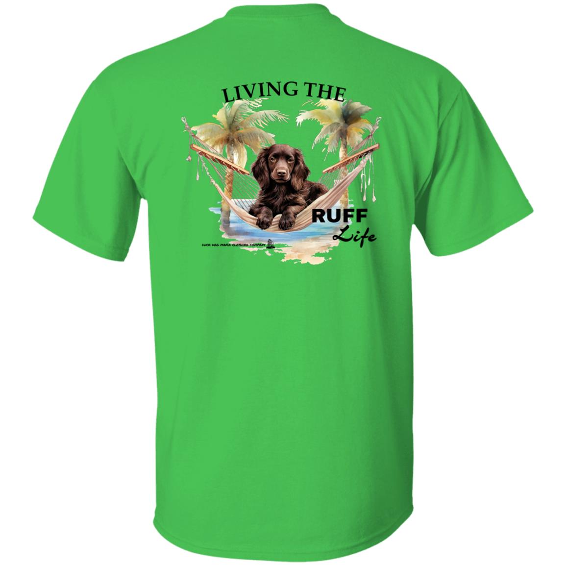 Boykin Spaniel Living The Ruff Life
