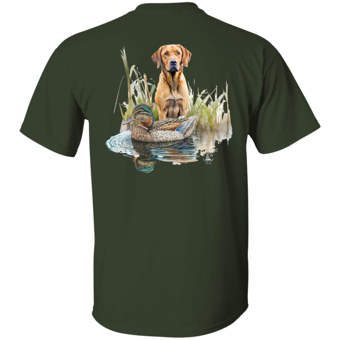 Chesapeake Bay Retriever In The Marsh