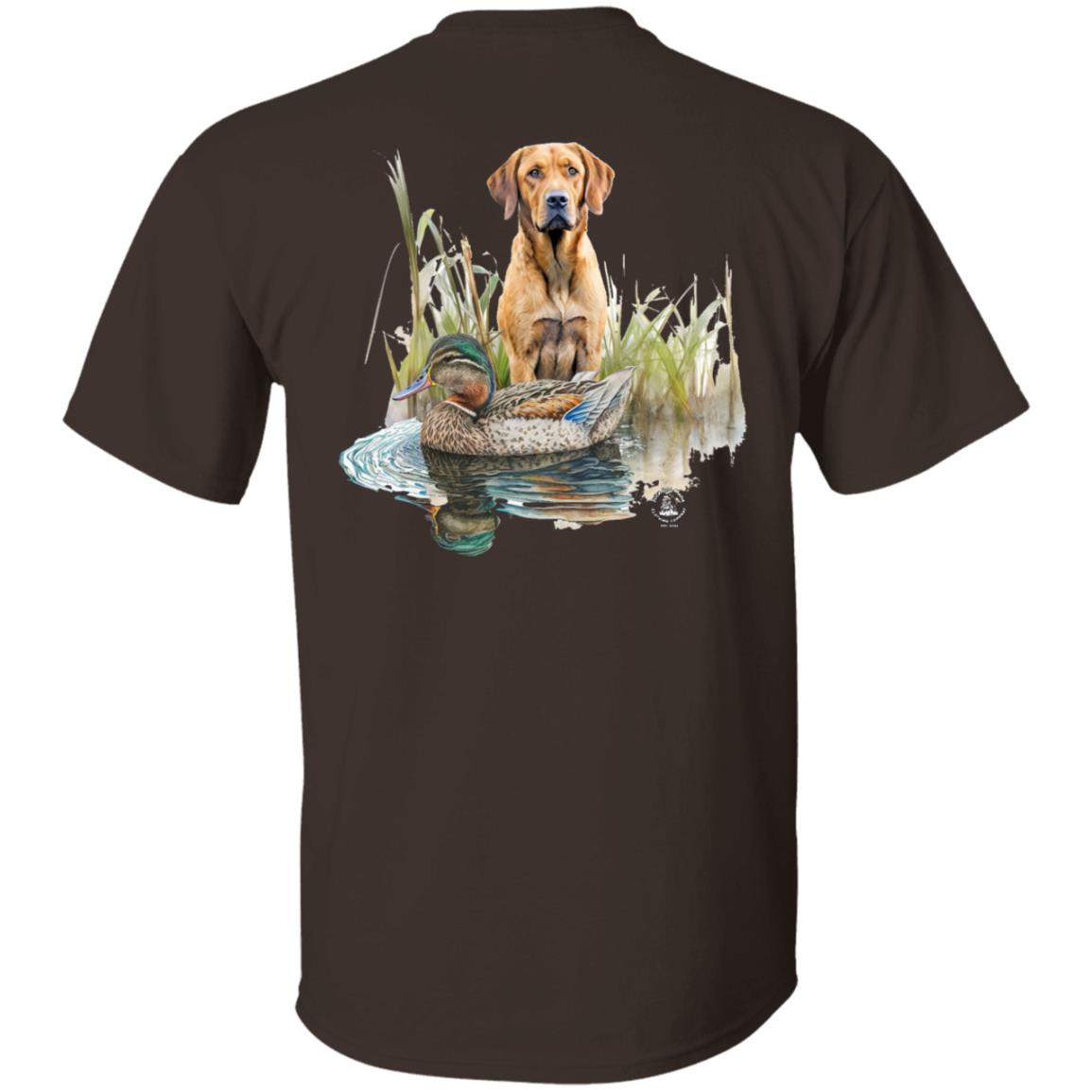 Chesapeake Bay Retriever In The Marsh