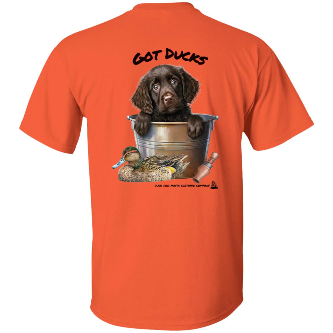 Boykin Spaniel Puppy Got Ducks