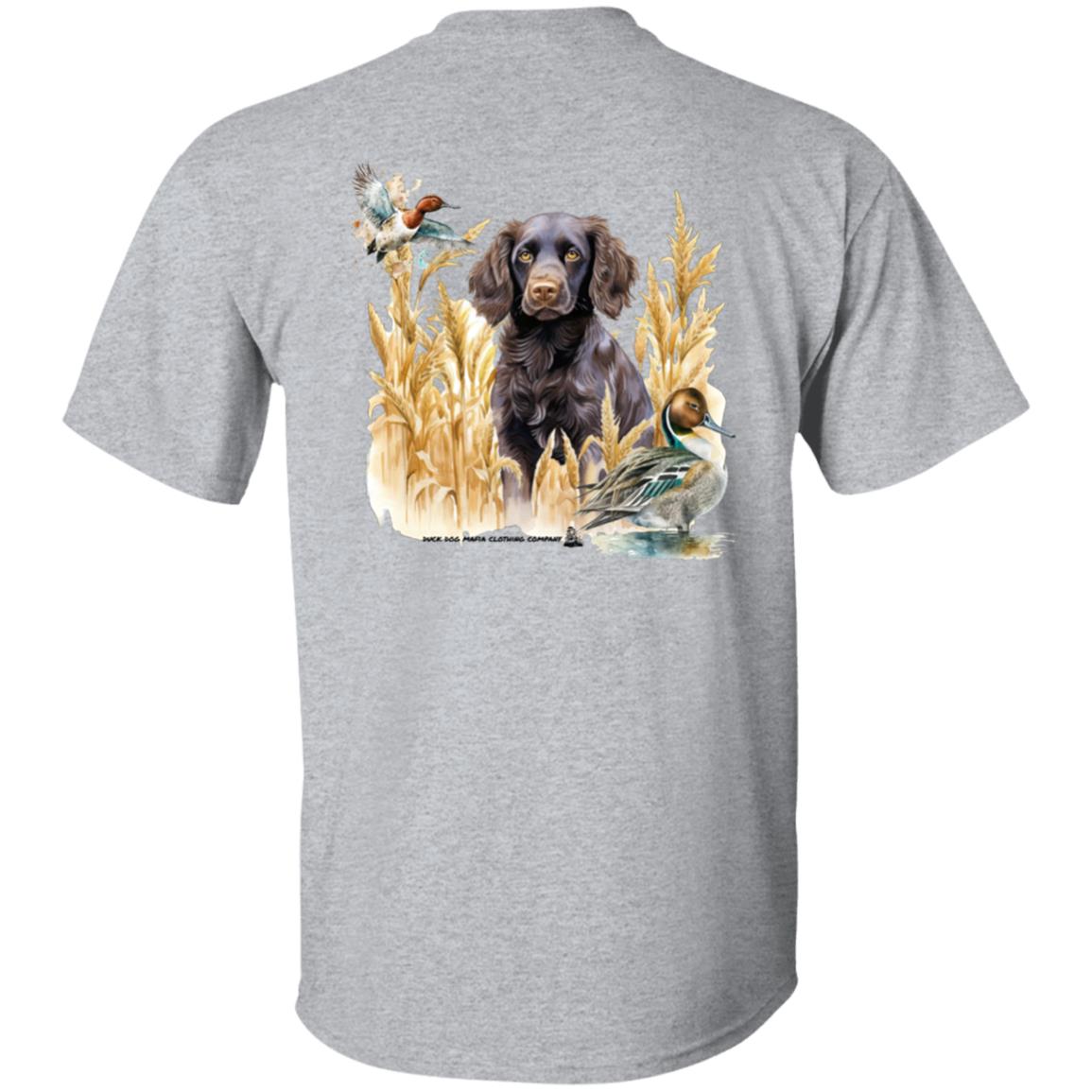 Boykin Spaniel and the Wheat Field