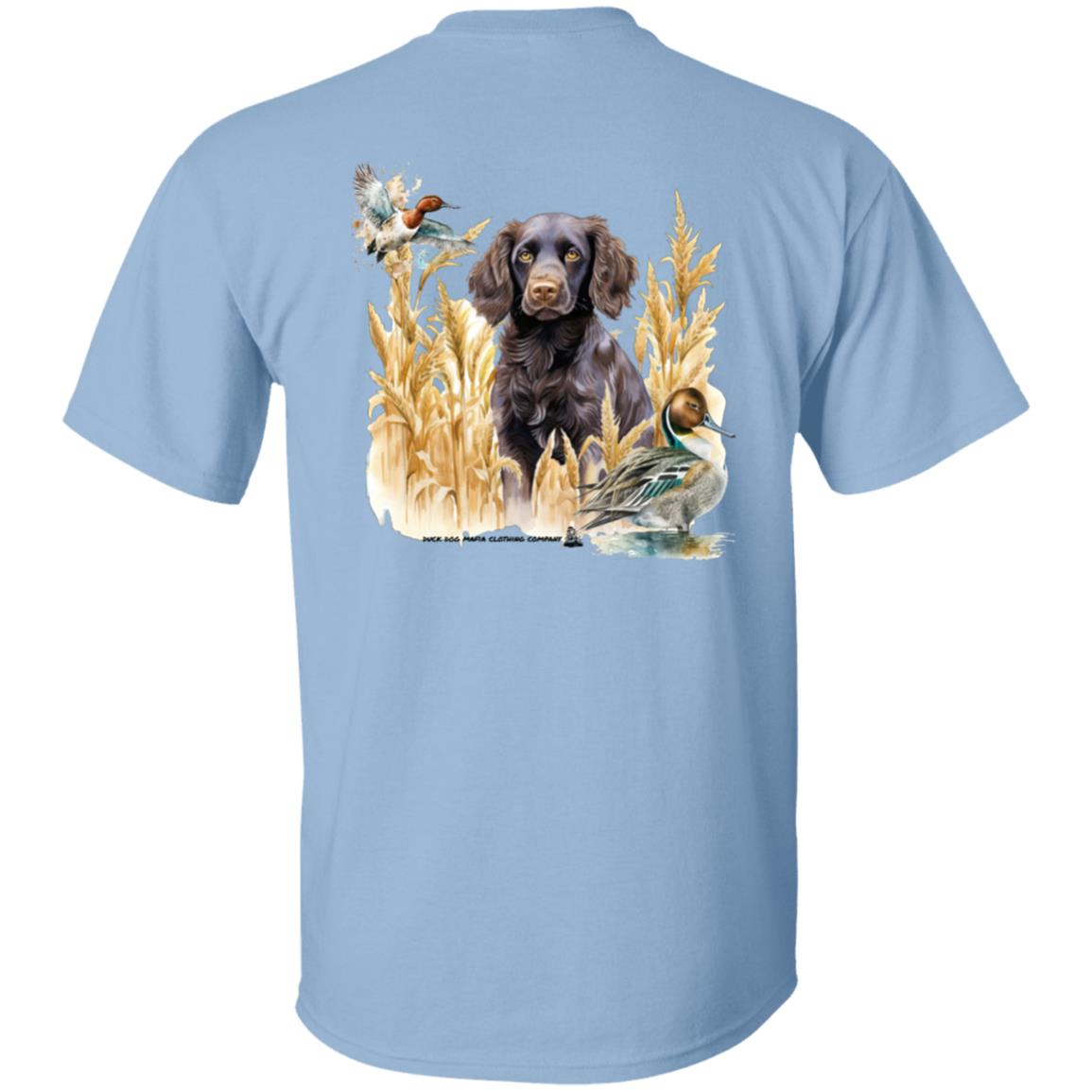 Boykin Spaniel and the Wheat Field