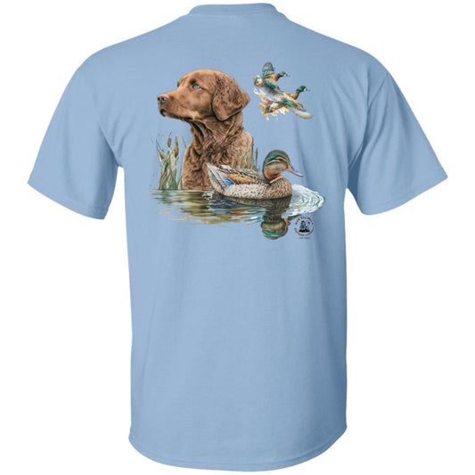 Chesapeake Bay Retriever and the Ducks