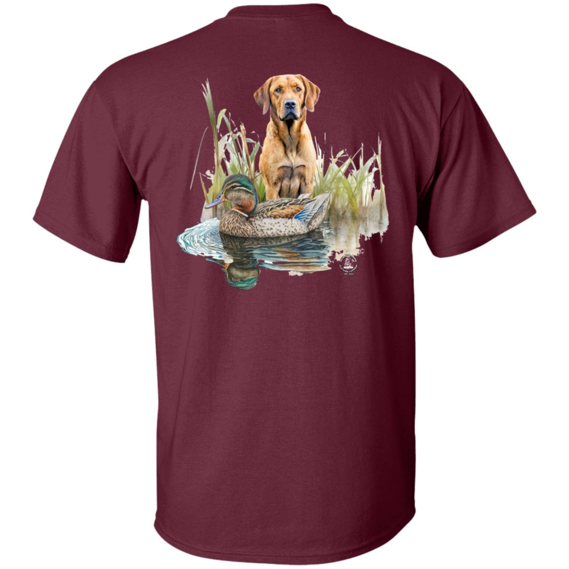 Chesapeake Bay Retriever In The Marsh