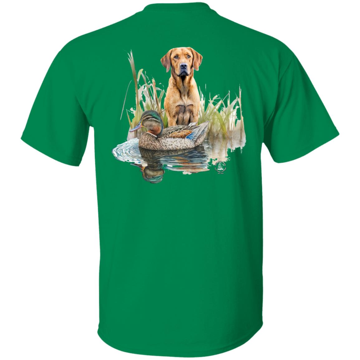 Chesapeake Bay Retriever In The Marsh