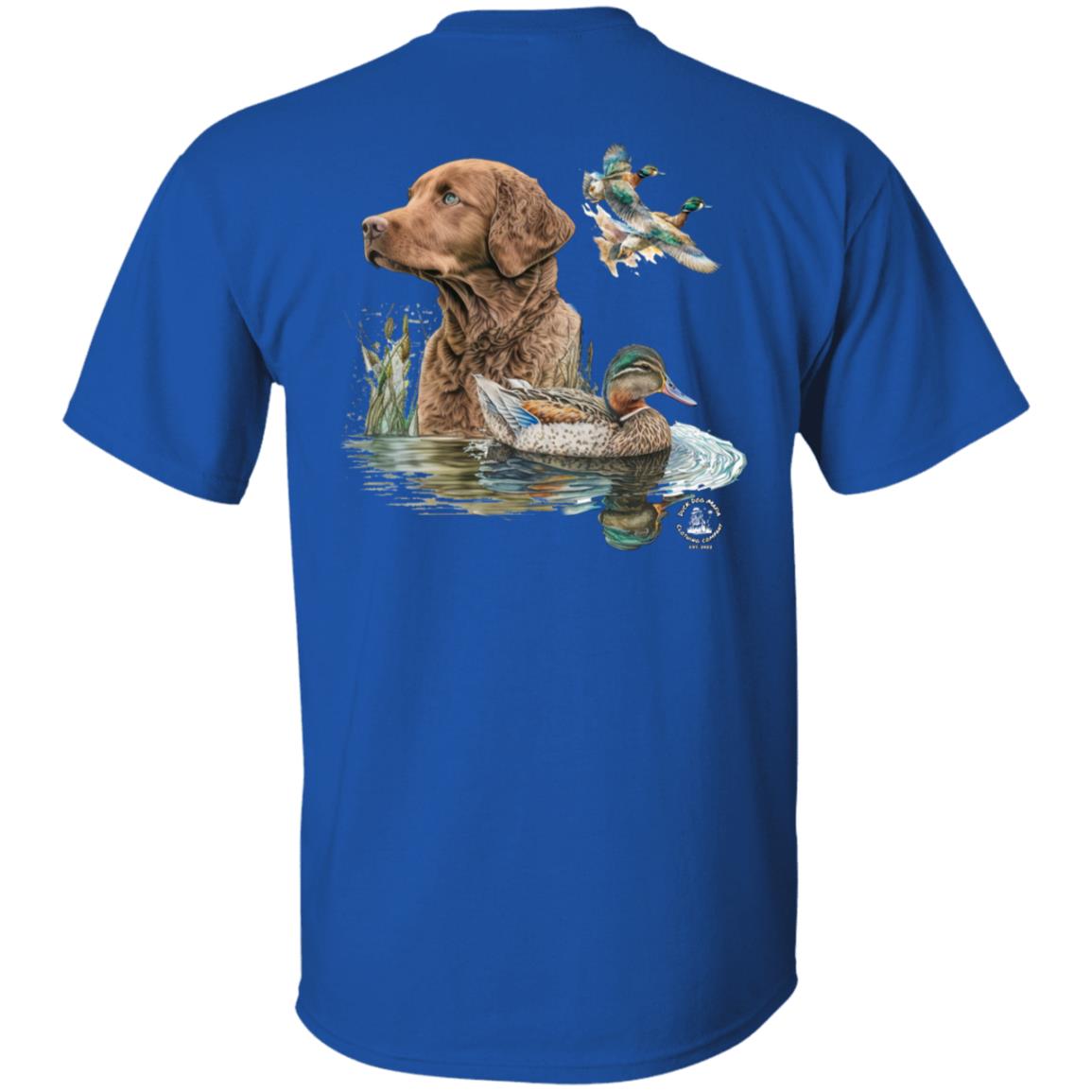 Chesapeake Bay Retriever and the Ducks