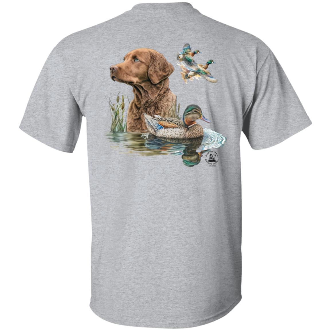 Chesapeake Bay Retriever and the Ducks