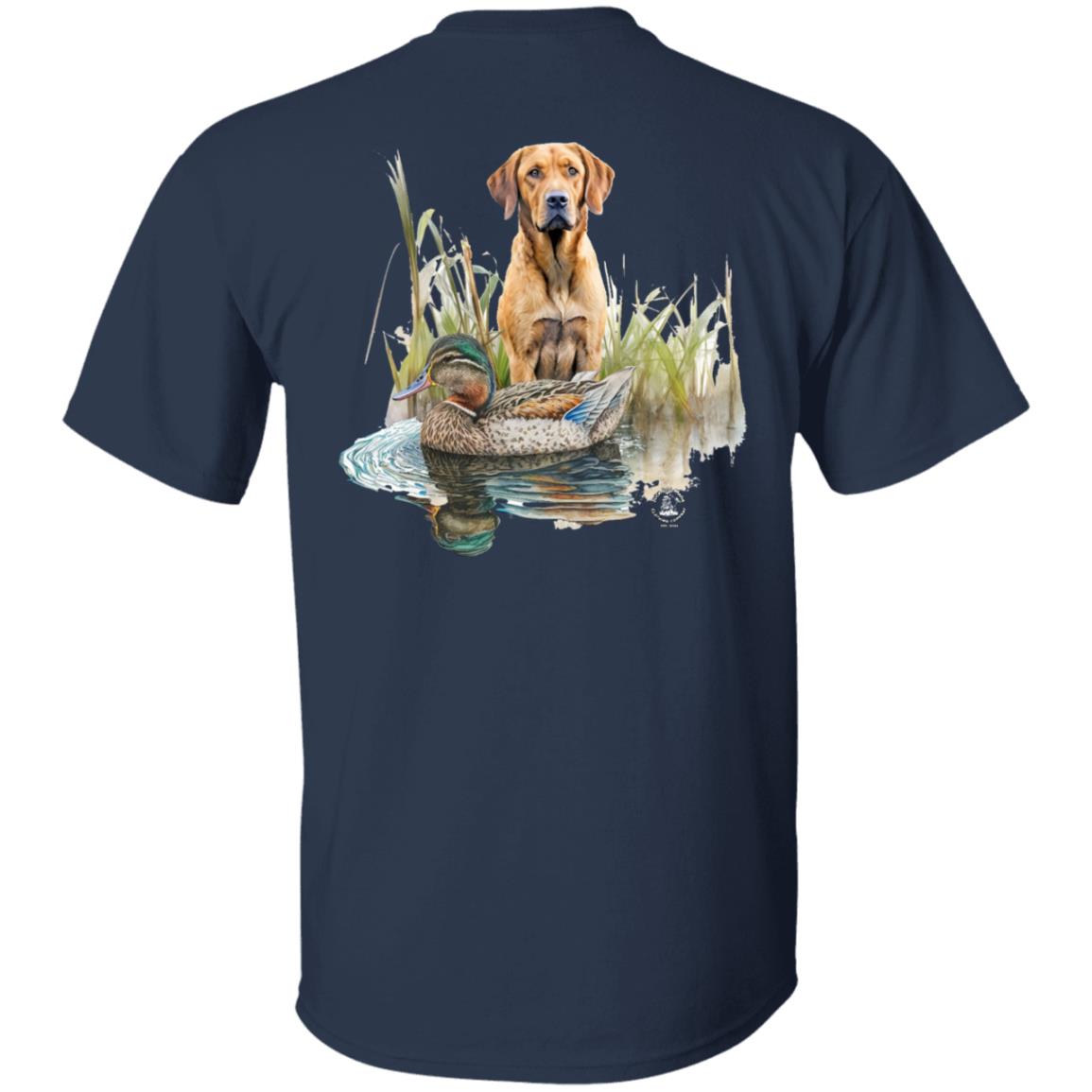 Chesapeake Bay Retriever In The Marsh