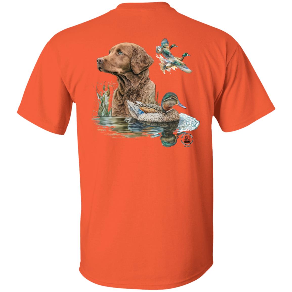 Chesapeake Bay Retriever and the Ducks