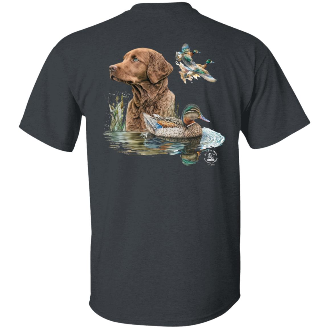 Chesapeake Bay Retriever and the Ducks