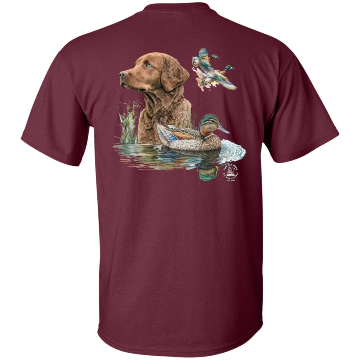 Chesapeake Bay Retriever and the Ducks