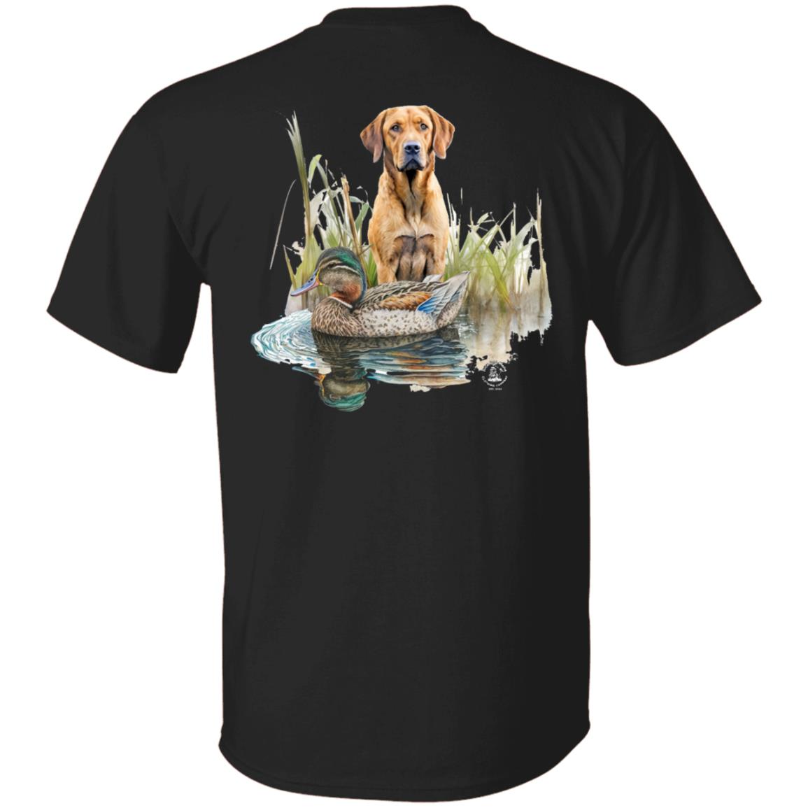 Chesapeake Bay Retriever In The Marsh