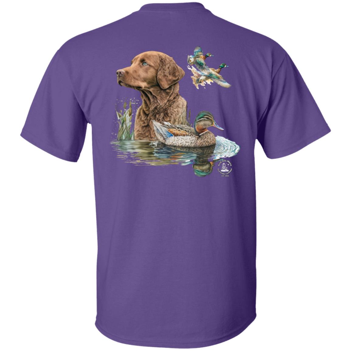 Chesapeake Bay Retriever and the Ducks