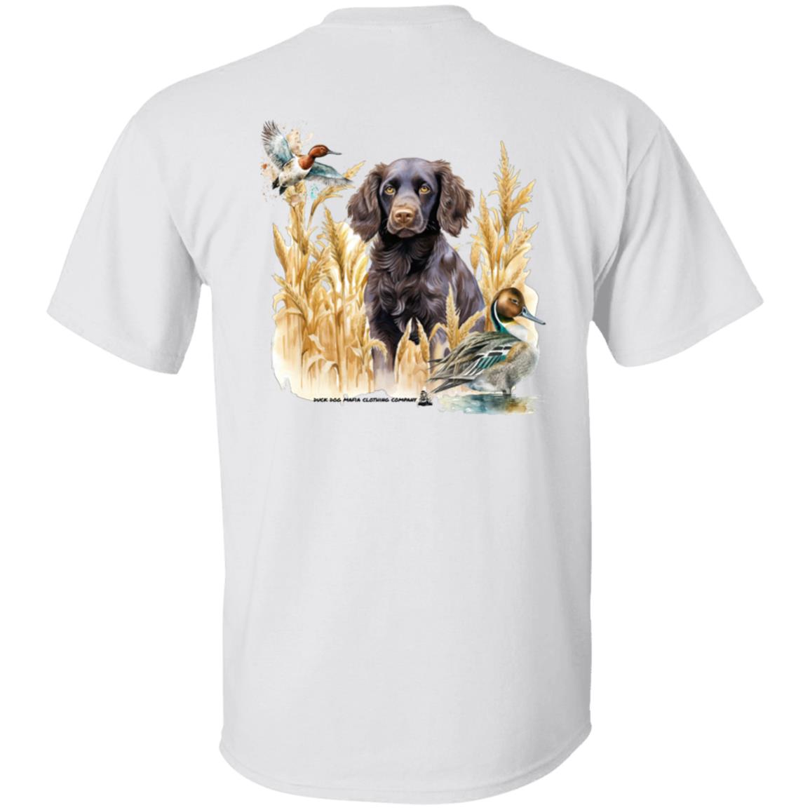 Boykin Spaniel and the Wheat Field