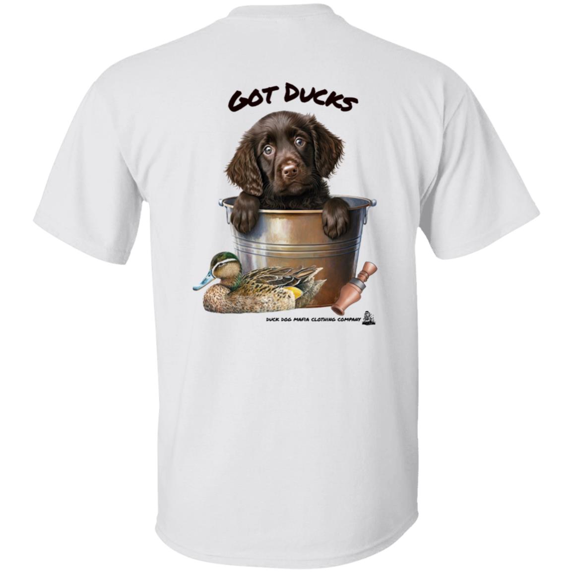 Boykin Spaniel Puppy Got Ducks
