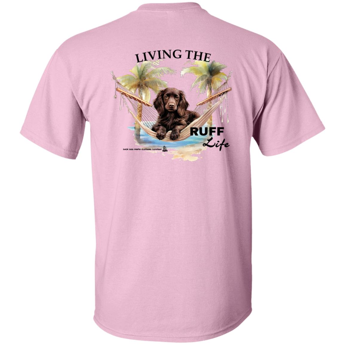 Boykin Spaniel Living The Ruff Life
