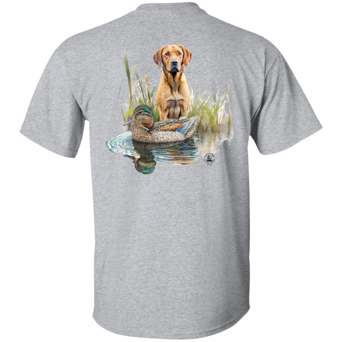 Chesapeake Bay Retriever In The Marsh