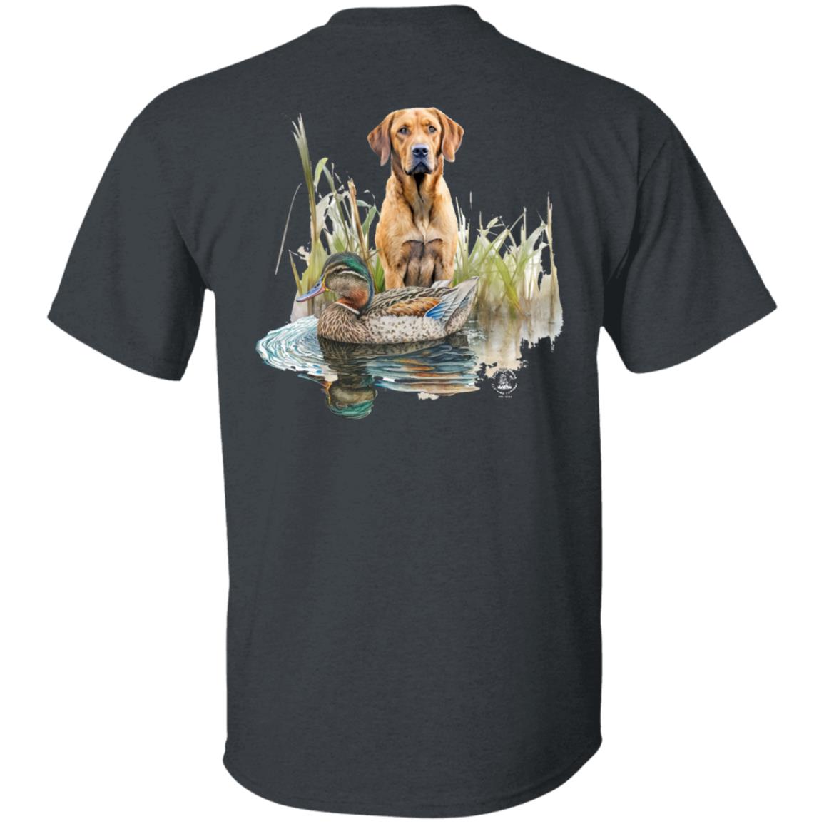 Chesapeake Bay Retriever In The Marsh