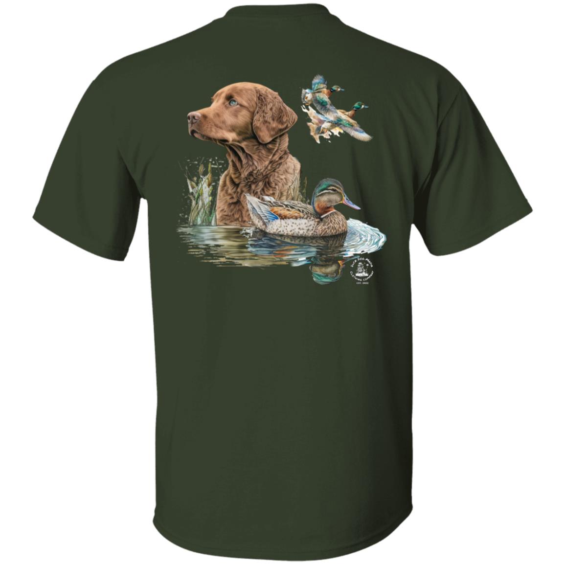 Chesapeake Bay Retriever and the Ducks
