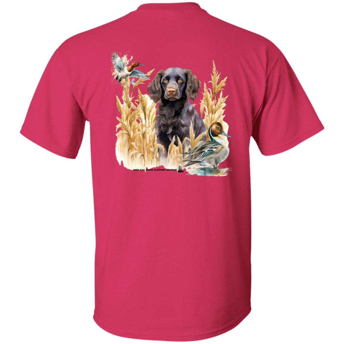 Boykin Spaniel and the Wheat Field