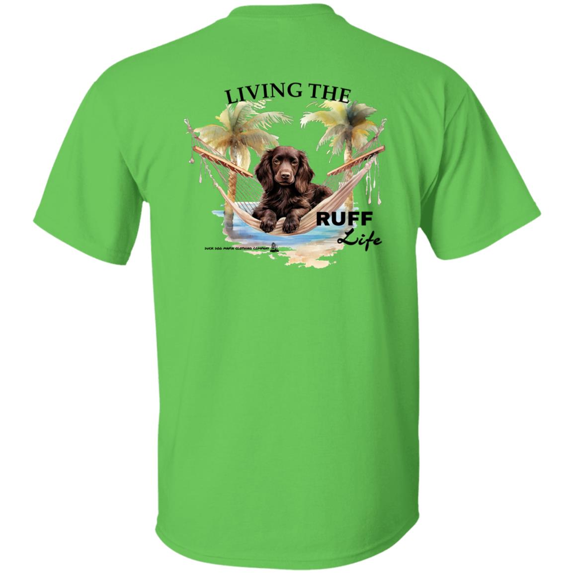 Boykin Spaniel Living The Ruff Life