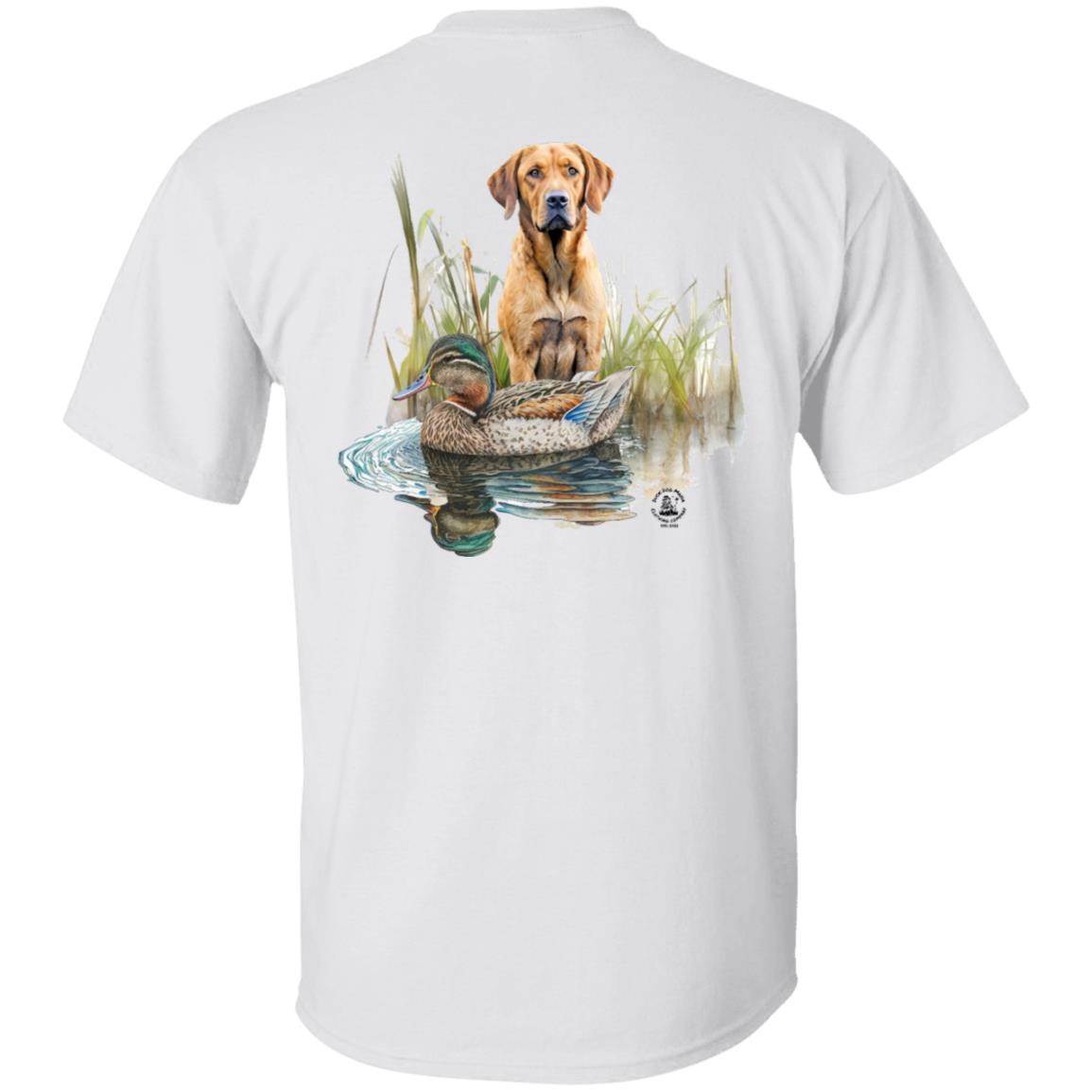 Chesapeake Bay Retriever In The Marsh