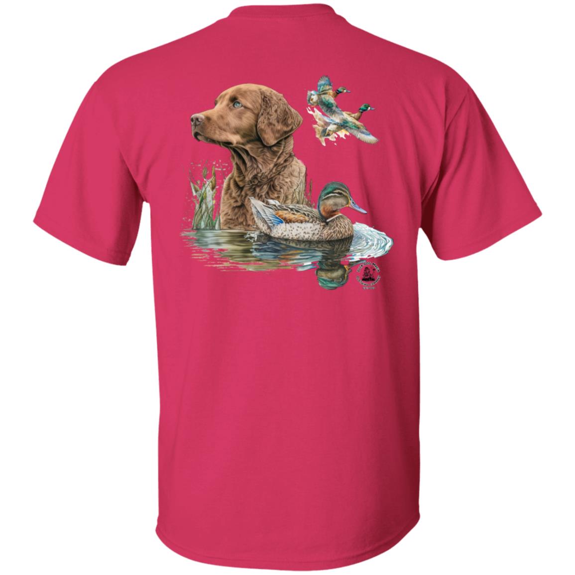 Chesapeake Bay Retriever and the Ducks