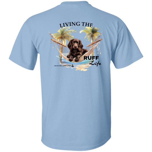 Boykin Spaniel Living The Ruff Life