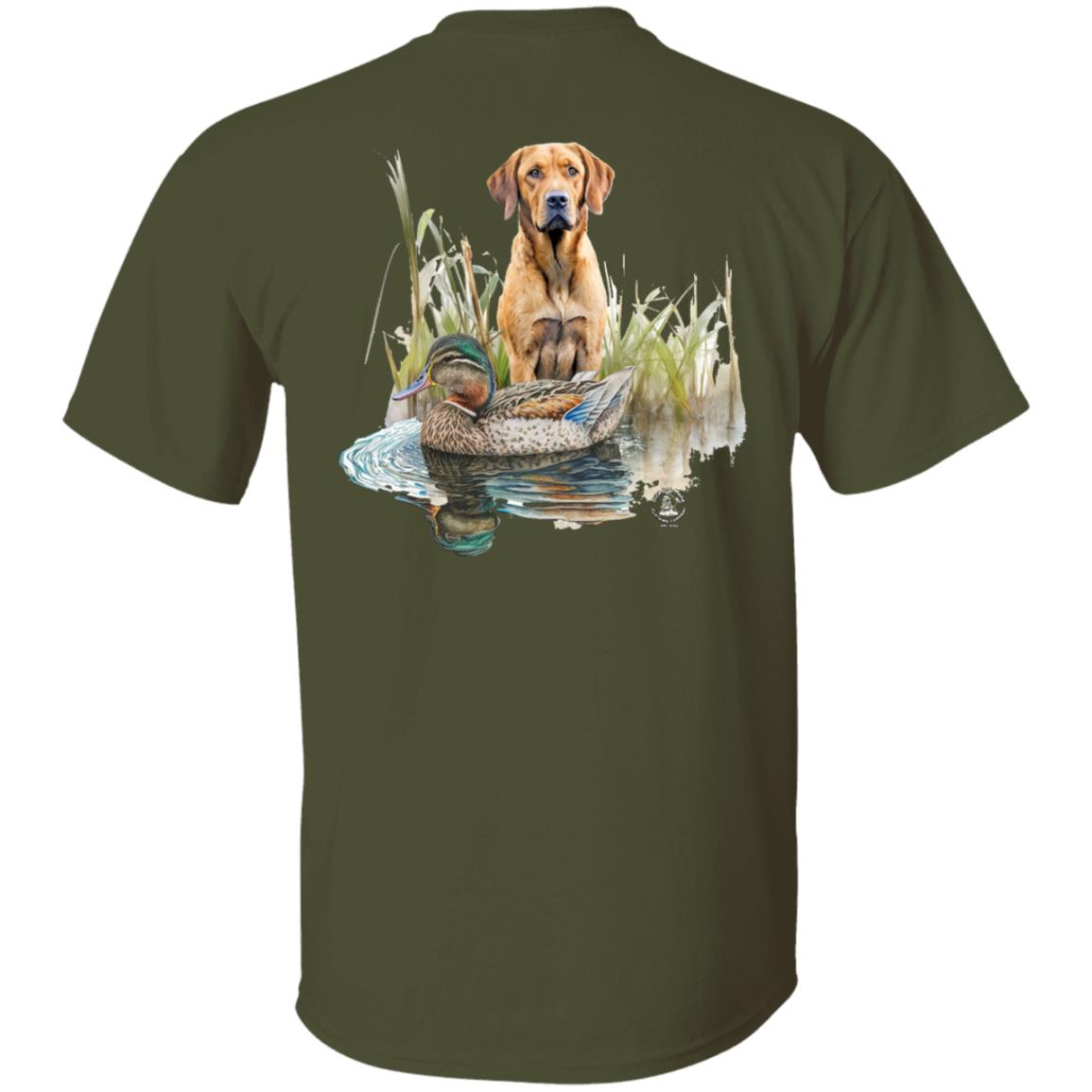 Chesapeake Bay Retriever In The Marsh